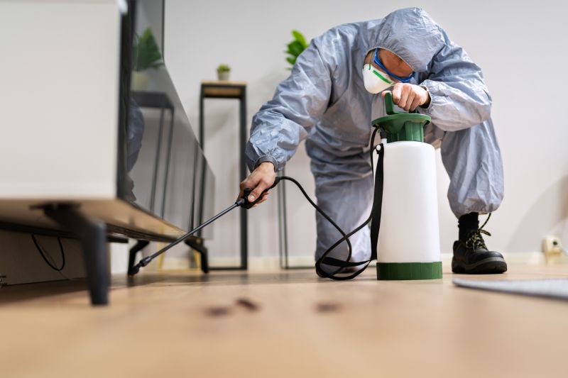 Rat Fumigation Service in Franklin, TN