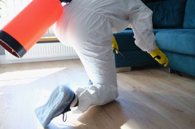 Roach Fumigation in Santa Fe, NM