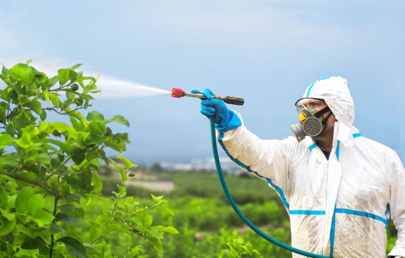 Spider Fumigation Service in Ann Arbor, MI